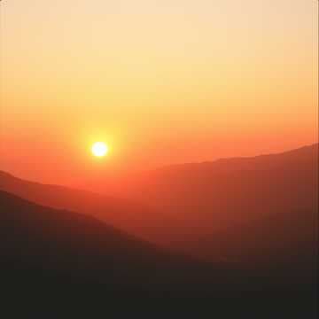 Strength in Persecution