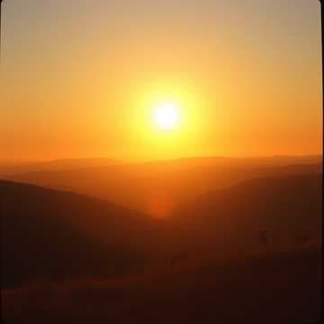 Blessings of the Broken